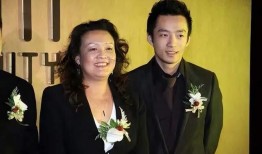 央视爆料汪小菲视频下载,真相与争议